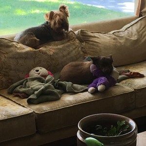 Meet your Posher, Kathie